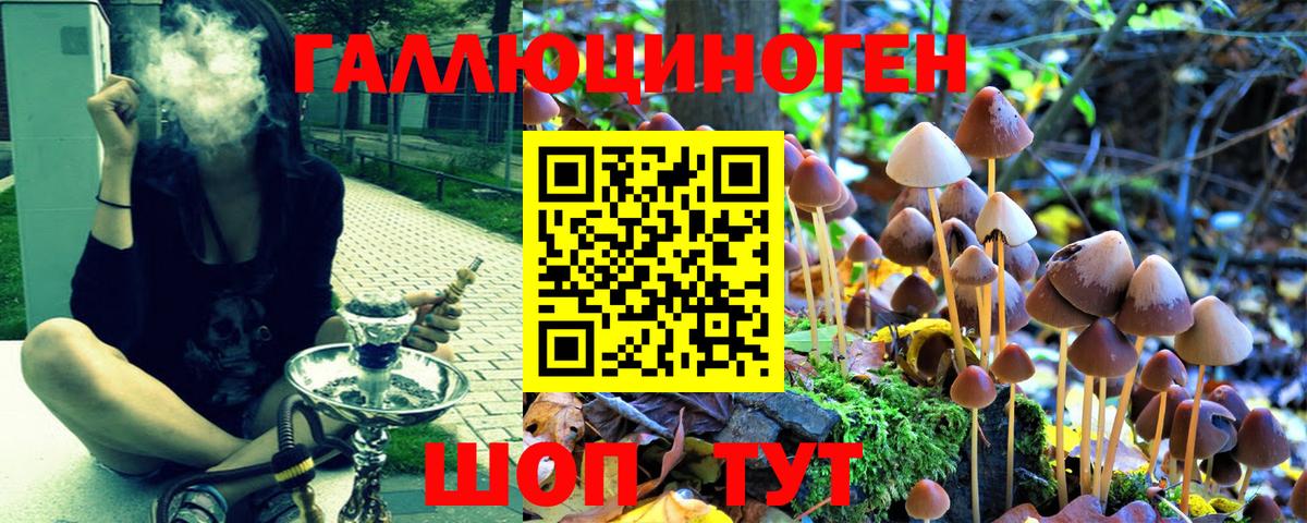 Галлюциногенные грибы GOLDEN TEACHER  Вход с VPN  Миасс  Псилоцибиновые грибы прущие грибы 